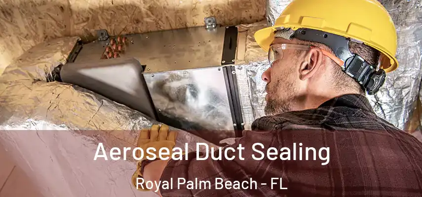  Aeroseal Duct Sealing Royal Palm Beach - FL