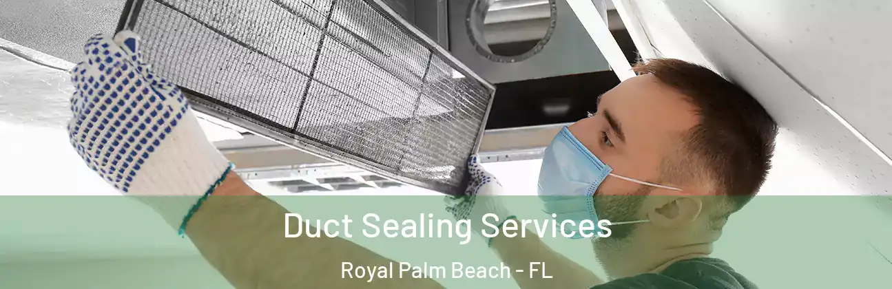  Duct Sealing Services Royal Palm Beach - FL