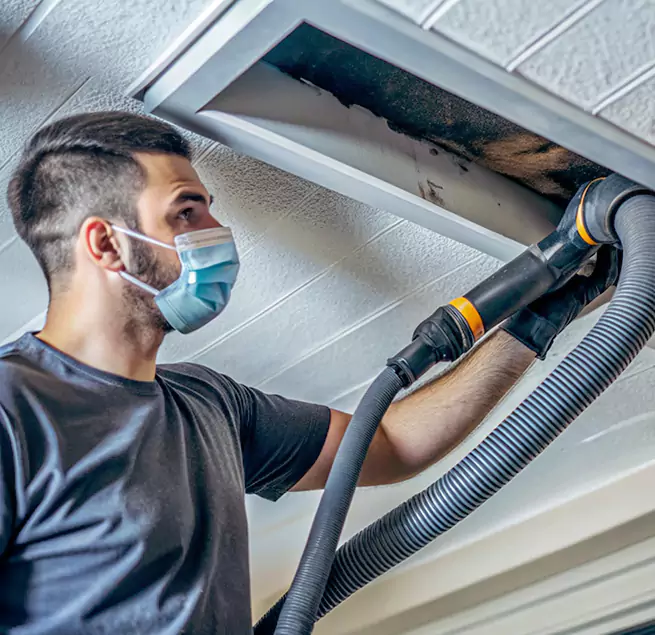 Why Royal Palm Beach Homeowners Call Royal Palm Beach Air Duct Cleaning Pro for Duct Cleaning?